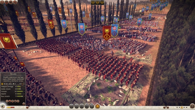 Total War: Rome 2 Image 08